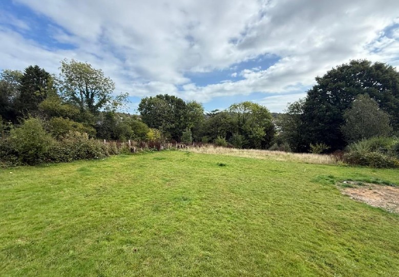 investor profile picture