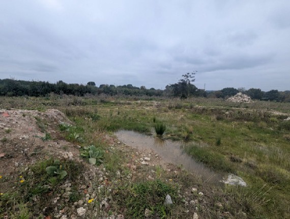 investor profile picture